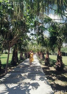 Gardenia Beach Hotel 11